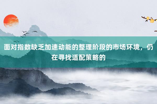 面对指数缺乏加速动能的整理阶段的市场环境，仍在寻找适配策略的