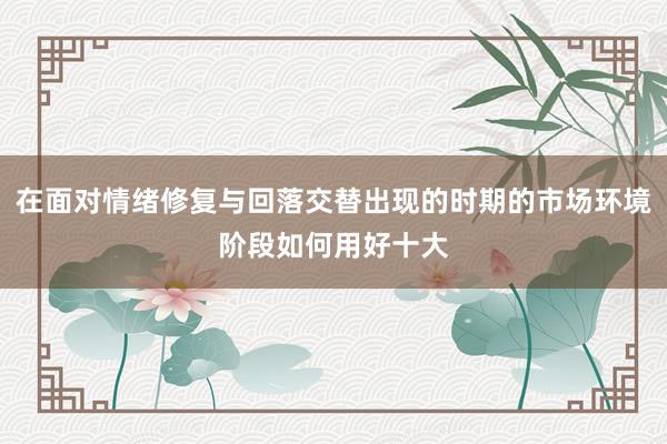 在面对情绪修复与回落交替出现的时期的市场环境阶段如何用好十大