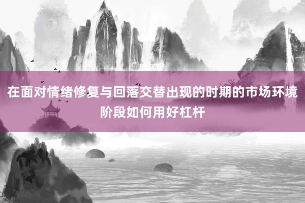在面对情绪修复与回落交替出现的时期的市场环境阶段如何用好杠杆