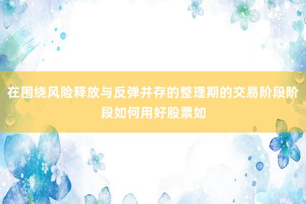 在围绕风险释放与反弹并存的整理期的交易阶段阶段如何用好股票如