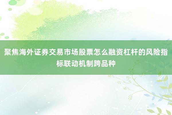 聚焦海外证券交易市场股票怎么融资杠杆的风险指标联动机制跨品种
