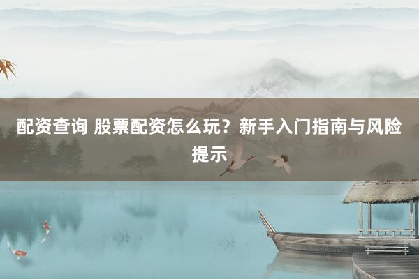 配资查询 股票配资怎么玩？新手入门指南与风险提示